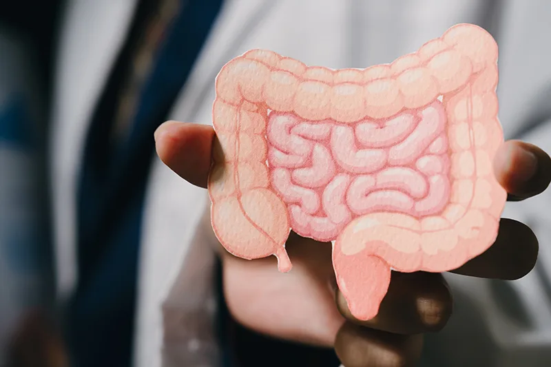 What Happens During a Colorectal Specialist Consultation?